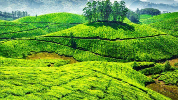 Coorg Travel Package From Nashik