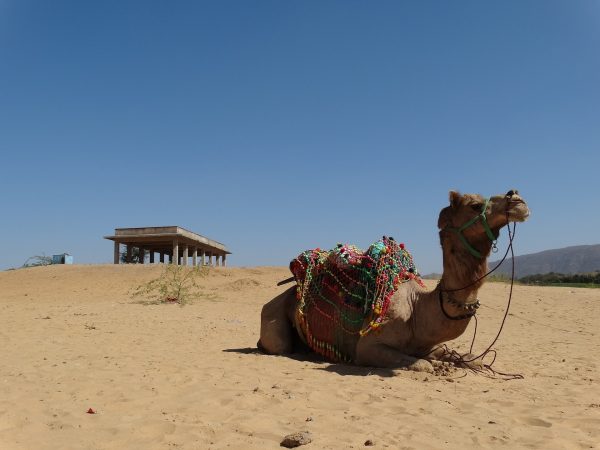 Pushkar Travel Package From Nashik